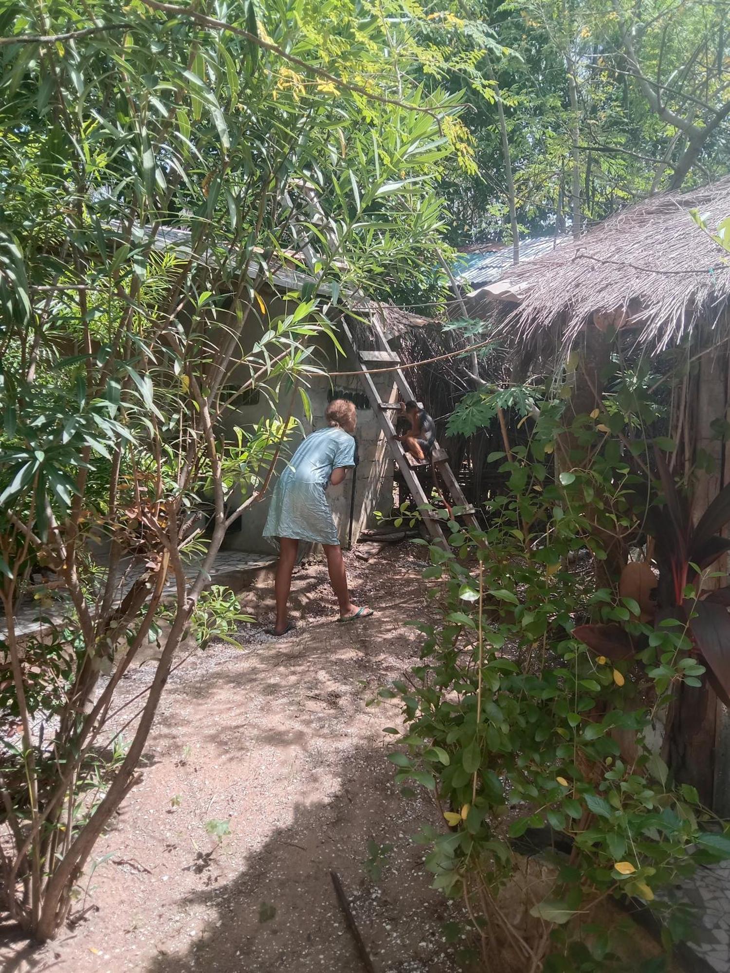 Chez Bethy & Baboulaye Jungle Et Ocean Villa Abémé Buitenkant foto