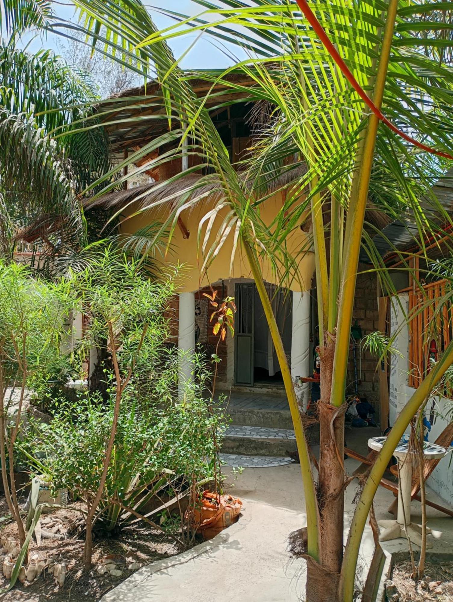 Chez Bethy & Baboulaye Jungle Et Ocean Villa Abémé Buitenkant foto